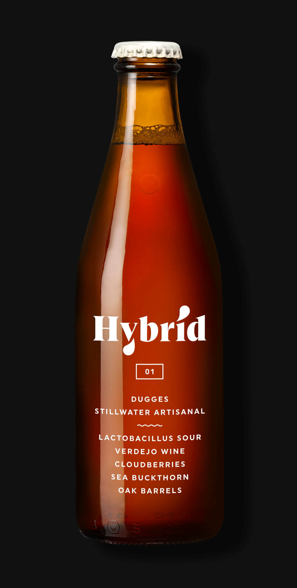 Hybrid 01